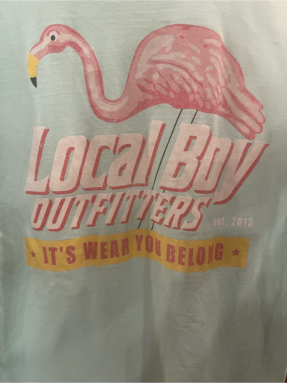 Local Boy Outfitters Men's Light Blue Flamingo Graphic Tee - Pink
